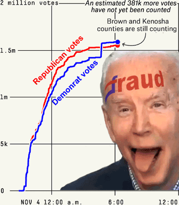 The Democrats Who rigged the Election Must Be Held Accountable