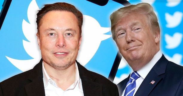 The Economic Collapse: How Trump and Musk Will Break the Back of All 50 States